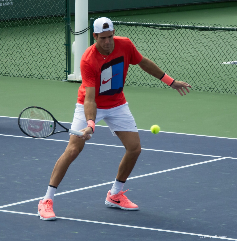 Del Potro, winner of the 2018 BNP Paribas