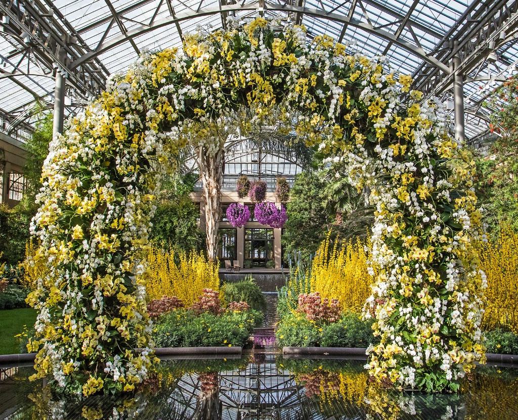 Orchid Arch  