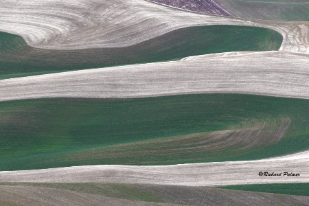 Palouse 7040