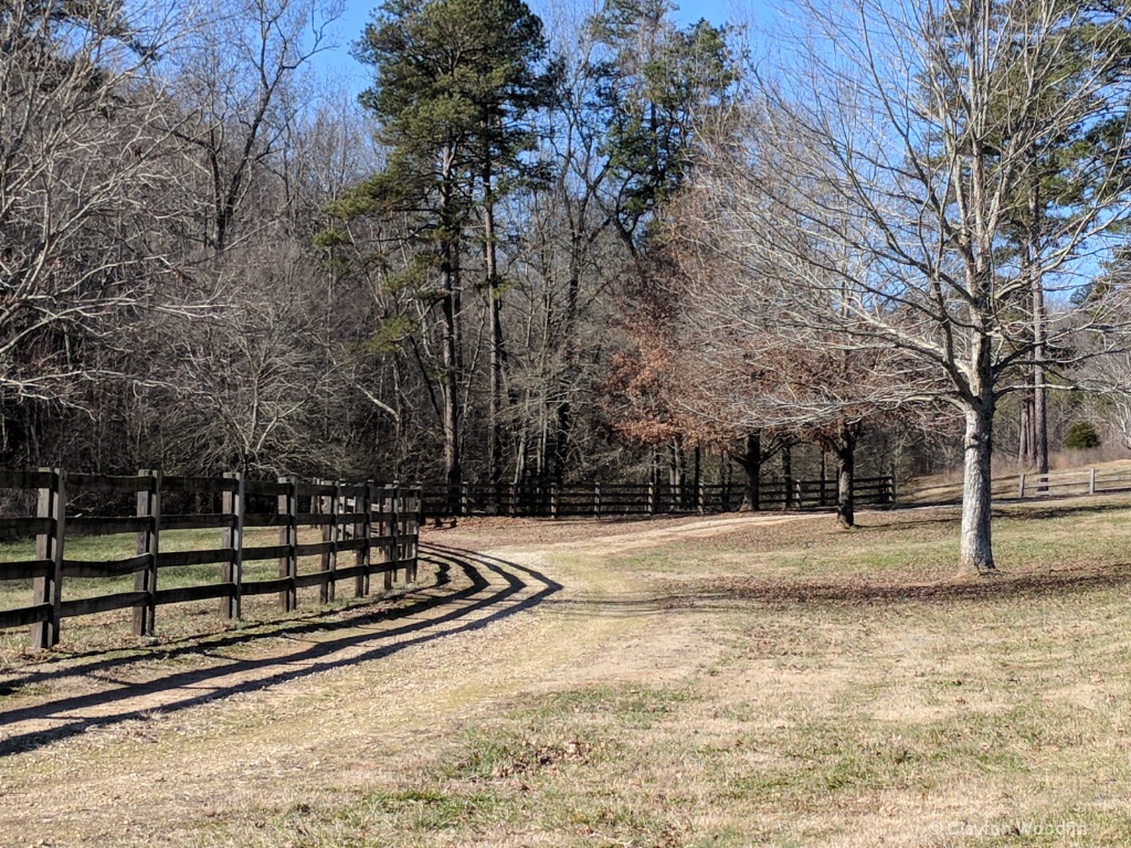 Fence line on the farm drive
