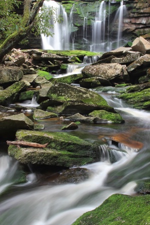 Below the Falls