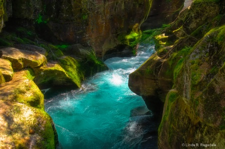 Avalanche Gorge Glacier National Park