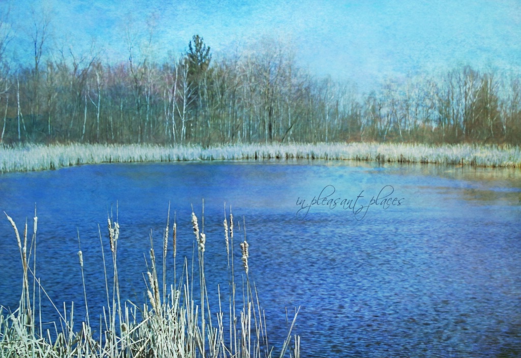Rippled Marsh