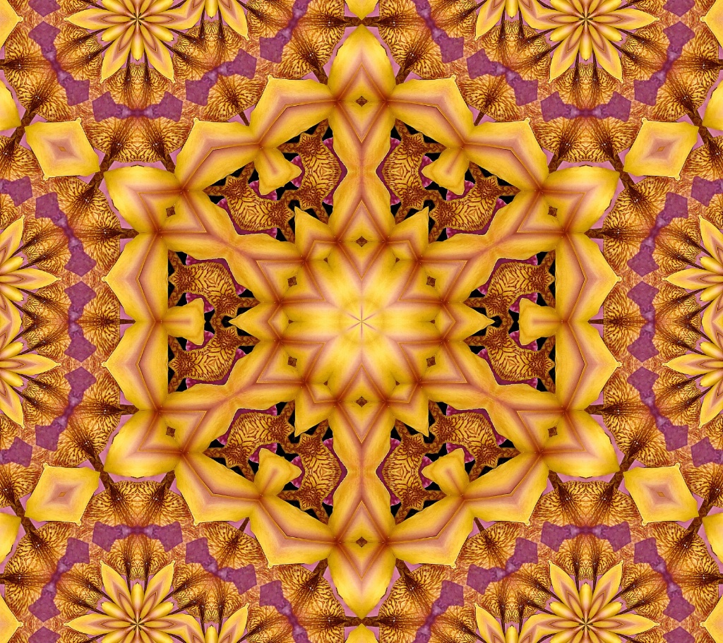 IRIS MANDALA
