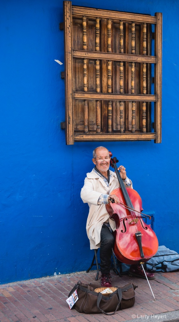 Street Musician