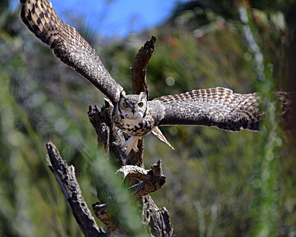 In Flight