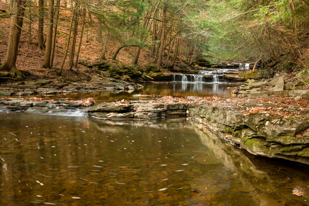 Gentle Autumn Flow