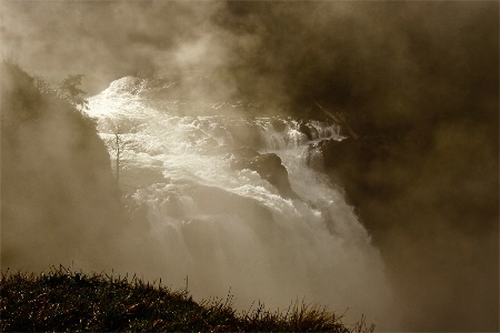 Foggy Falls