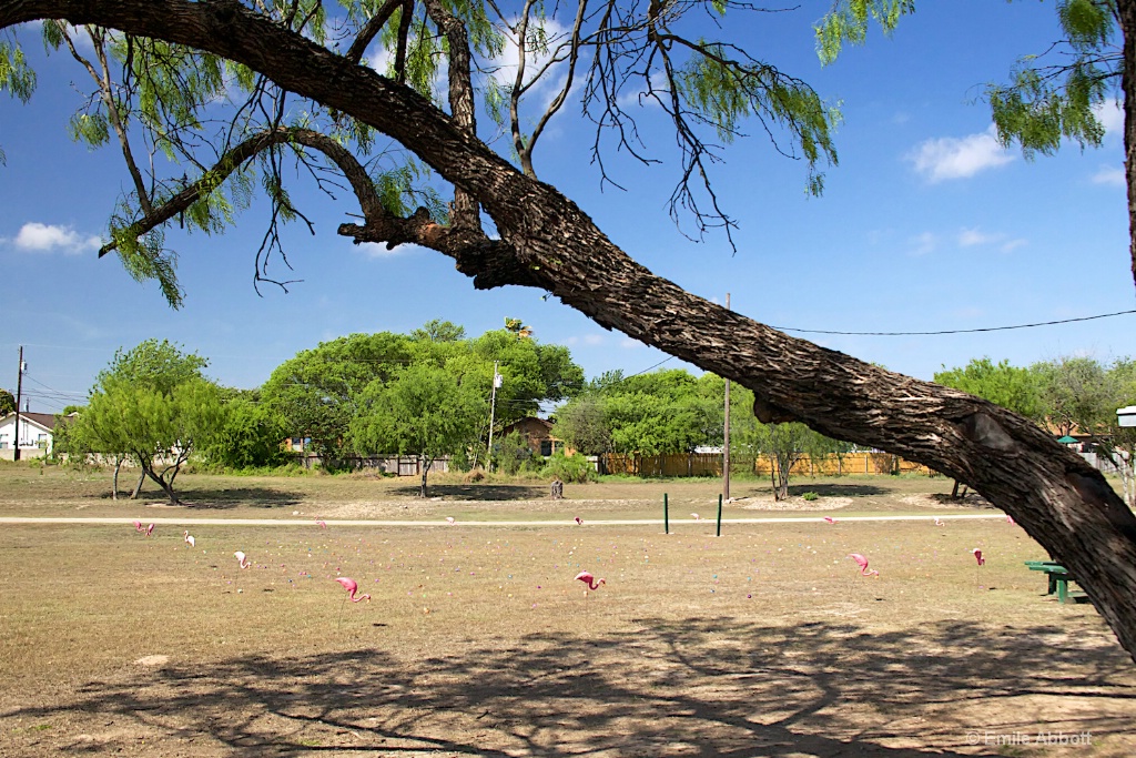 Lions Easter Egg Hunt