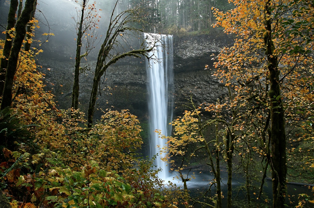 Fall at the Falls - ID: 15551013 © Denny E. Barnes