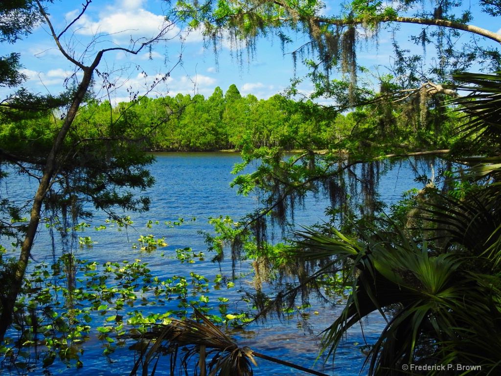 Black Bear Wilderness Area