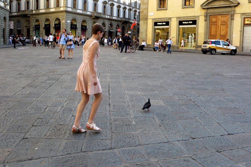 Pigeon Chasing