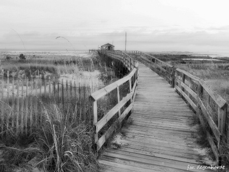 Pier to the Beach