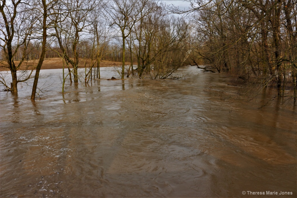 Flooded Creek - ID: 15552957 © Theresa Marie Jones