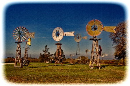--------"The Windmill Farm"------