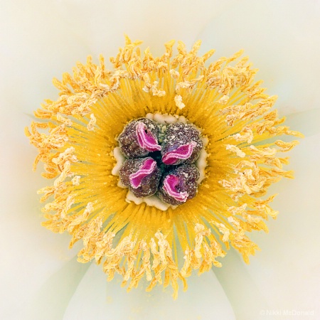 Centered