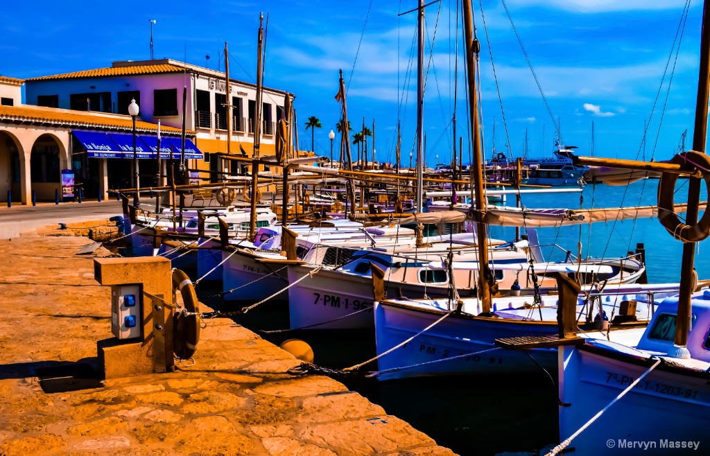 The Flotilla in Harbour