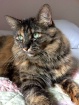 Minnie