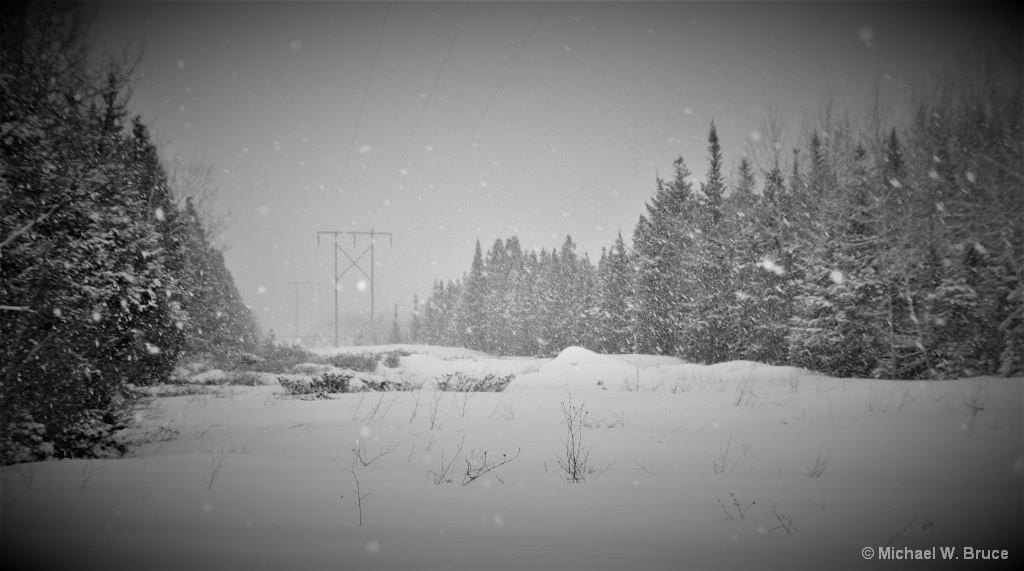 Winter In Newfoundland