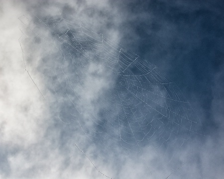 Web Against the Sky