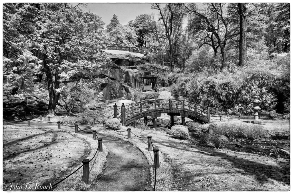 Japanese Gardens at Maymont Richmond Virginia-3 - ID: 15556200 © John D. Roach