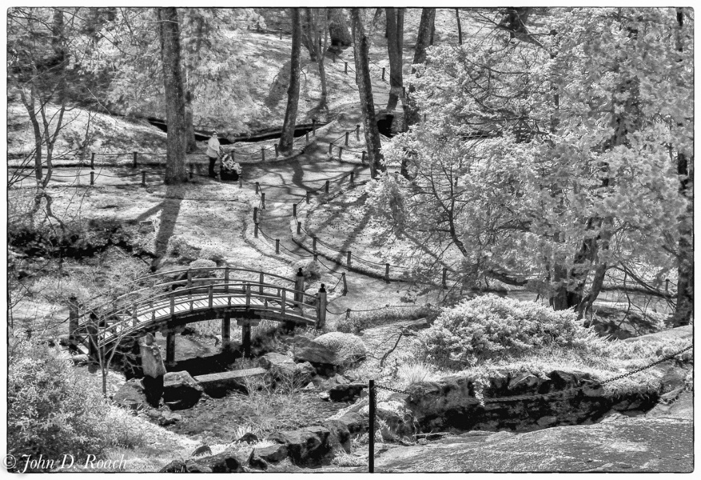 Japanese Gardens at Maymont Richmond Virginia-4 - ID: 15556201 © John D. Roach