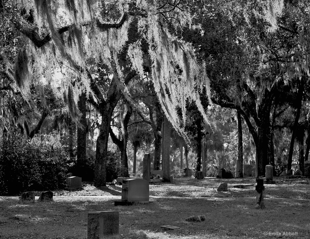 Southern Cemetary - ID: 15556316 © Emile Abbott