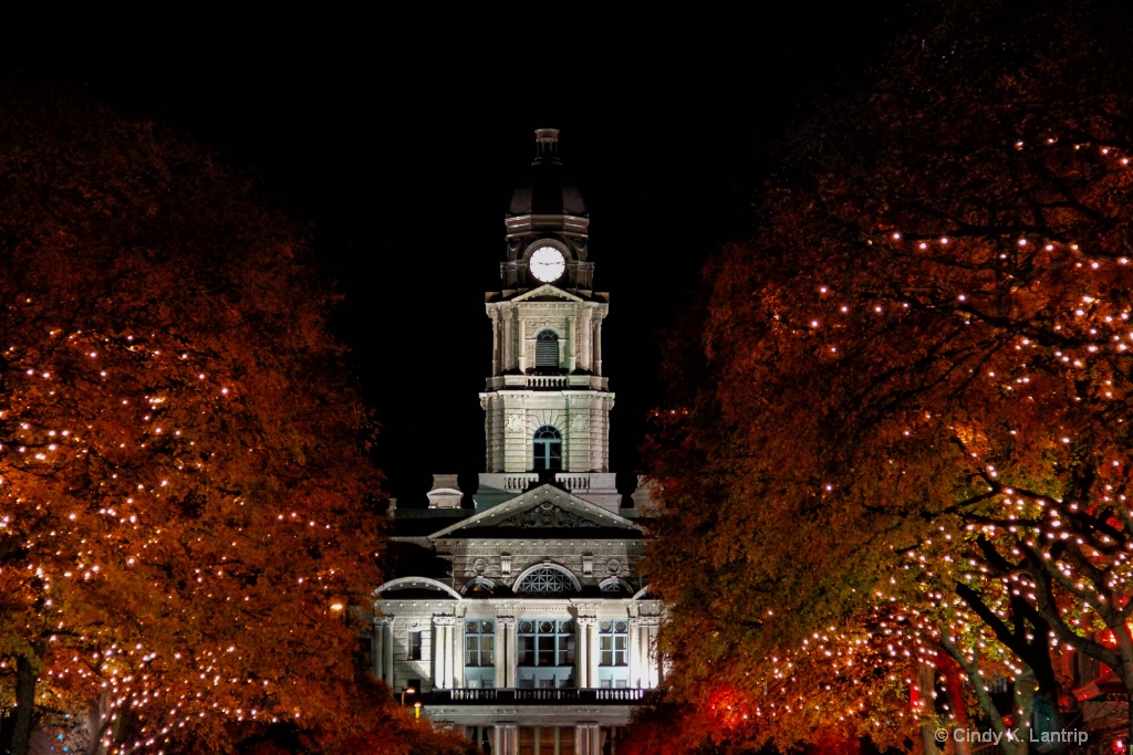 Nighttime Elegance