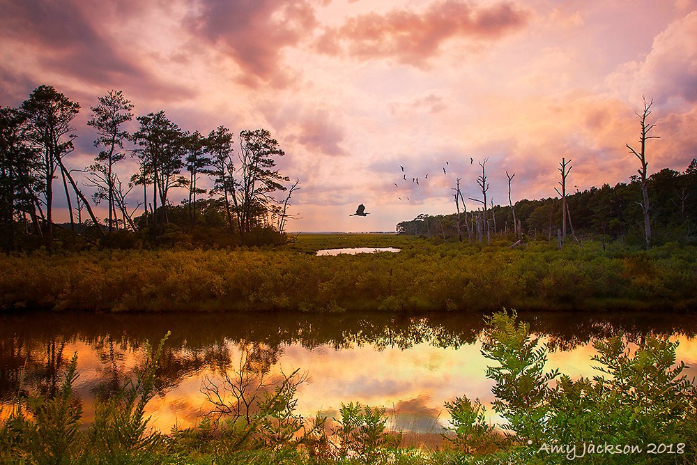 Refuge Sunset