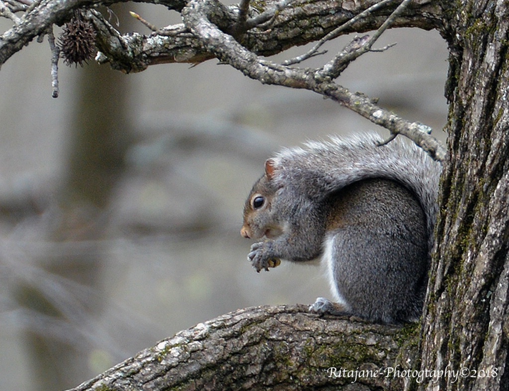 Snack time.....