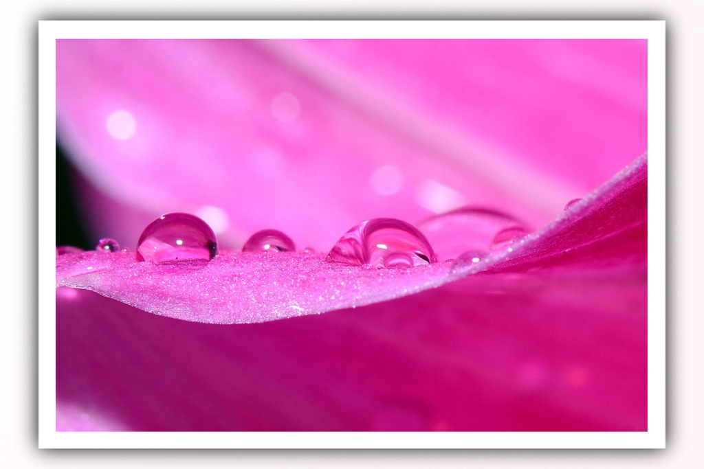 Water Droplets