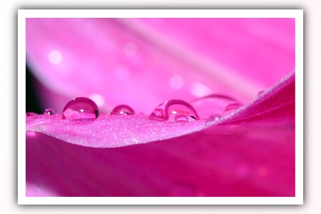 Water Droplets