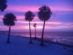 Purple Sunrise Ta...