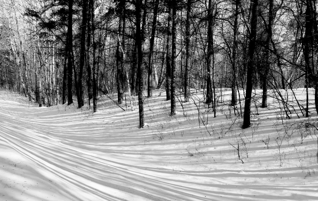 Snow Shadows