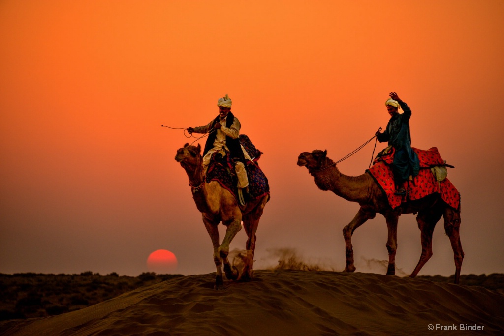 Racing camels in the Thar desert
