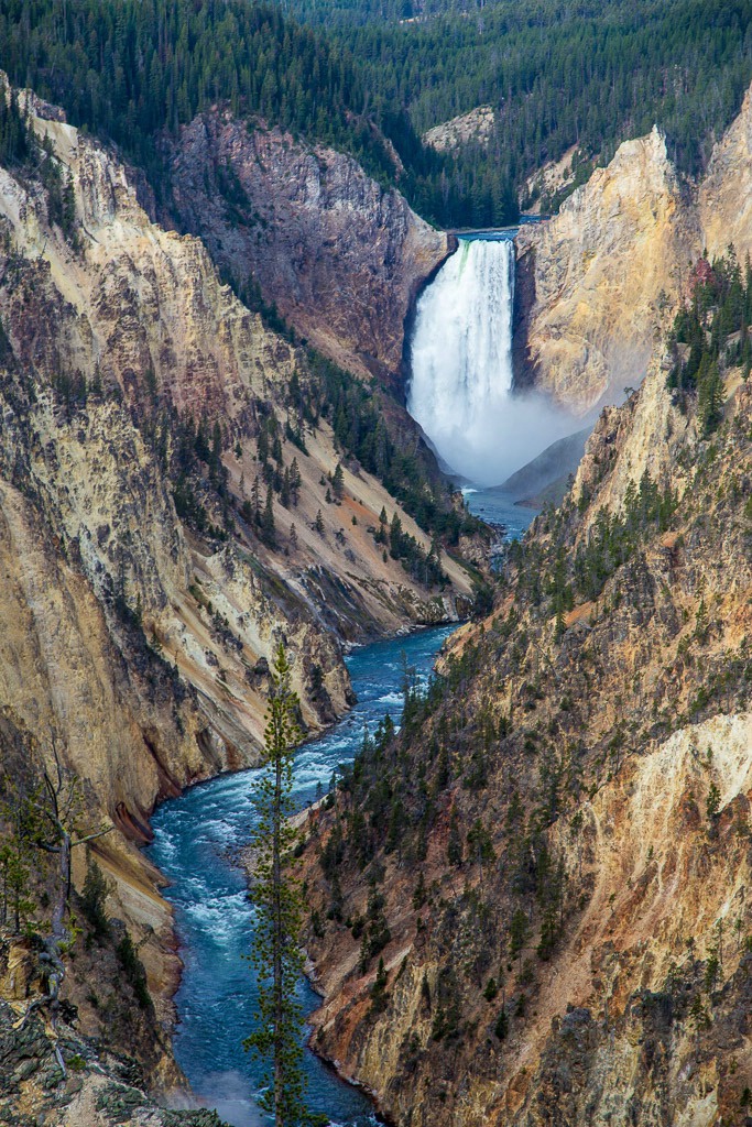 Lower Yellowstone Fall