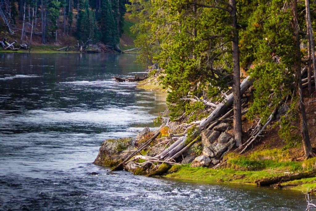 Yellowstone River - ID: 15558009 © John A. Roquet