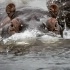 2Angry Hippo - ID: 15559231 © Louise Wolbers