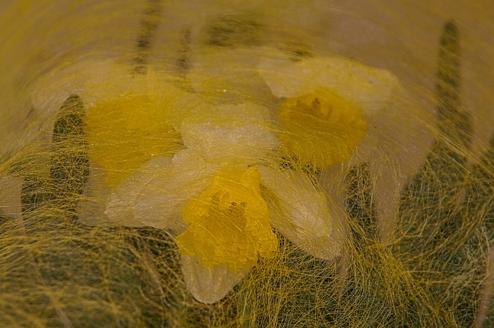 img2