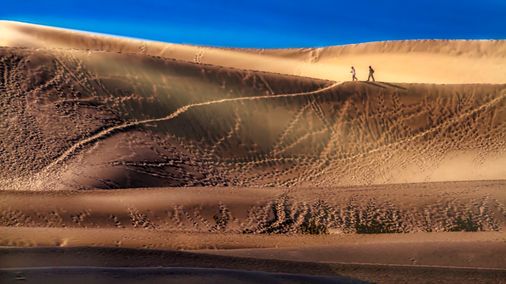 Dune Days  4391 - ID: 15559859 © Karen Celella