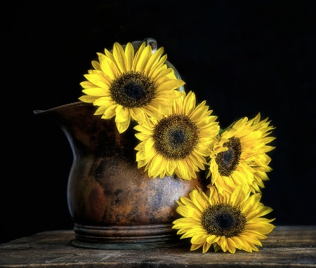 Sunflowers