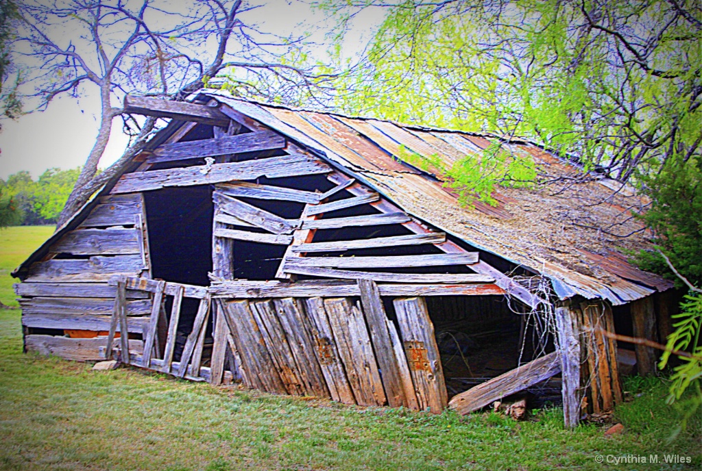 The Old Barn 