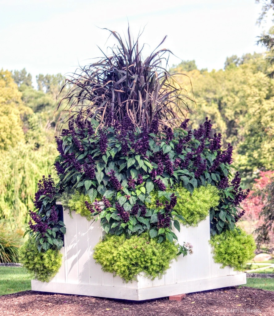 Large Planter at the Elmore Gardens 