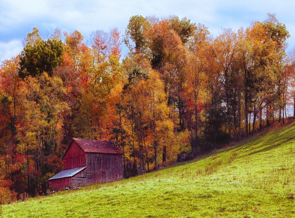 Hillside Barn