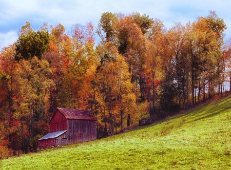 Hillside Barn