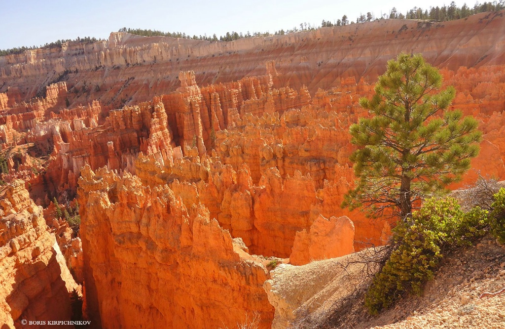 Bryce Canyon 