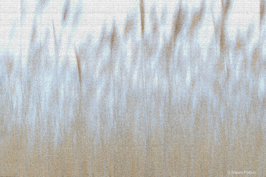 Grass in Abstract