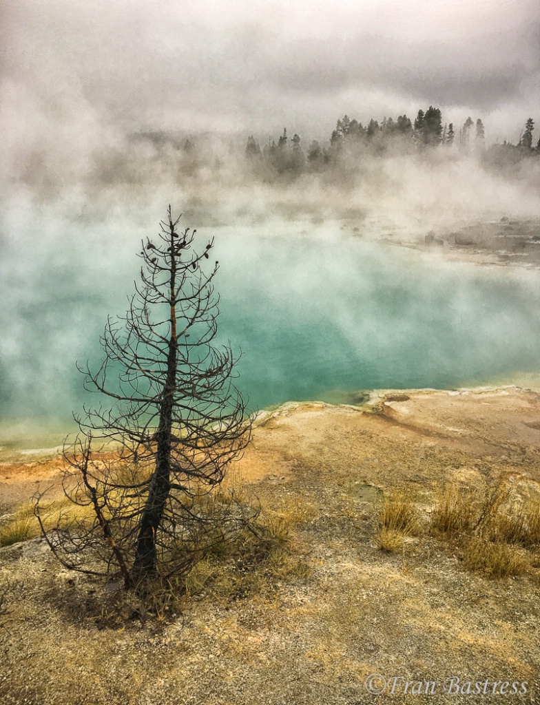 Yellowstone Geyser Vista - ID: 15562380 © Fran  Bastress