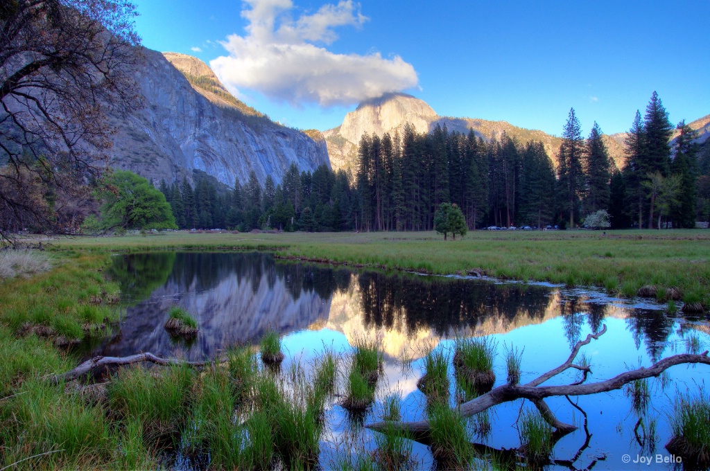 Half dome reflections