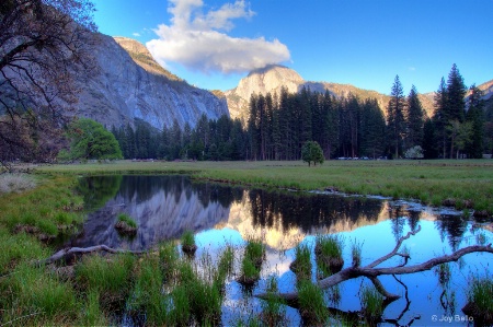 Half dome reflections